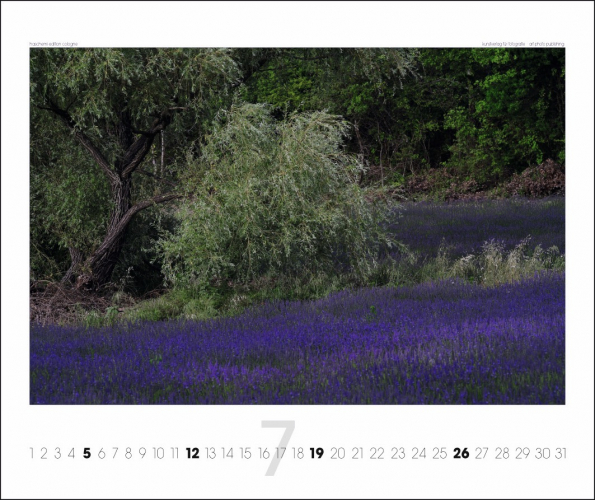 PROVENCE KALENDER